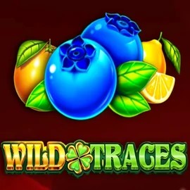 Wild Traces by Amusnet Interactive, showcased at uspins.eu – game logo